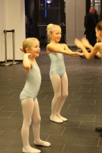 Foto neujahrskonzert_2018-142