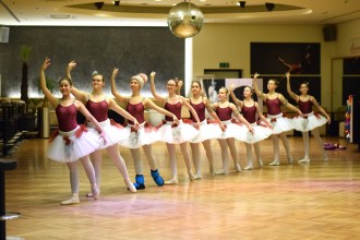 Foto tulln_goes_oper-07