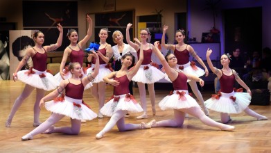 Foto tulln_goes_oper-10